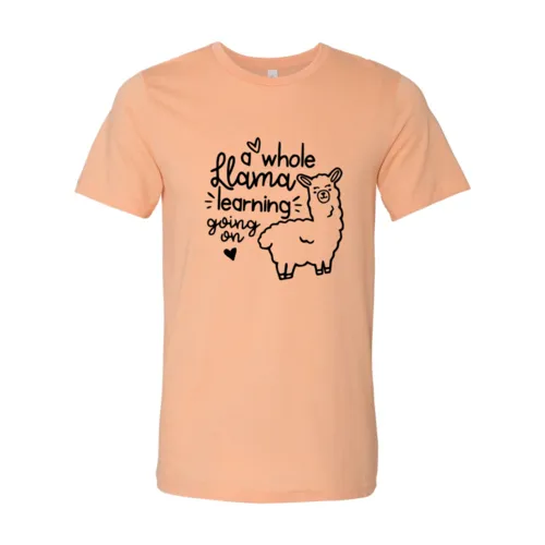 A Whole Llama Learning Going On Shirt