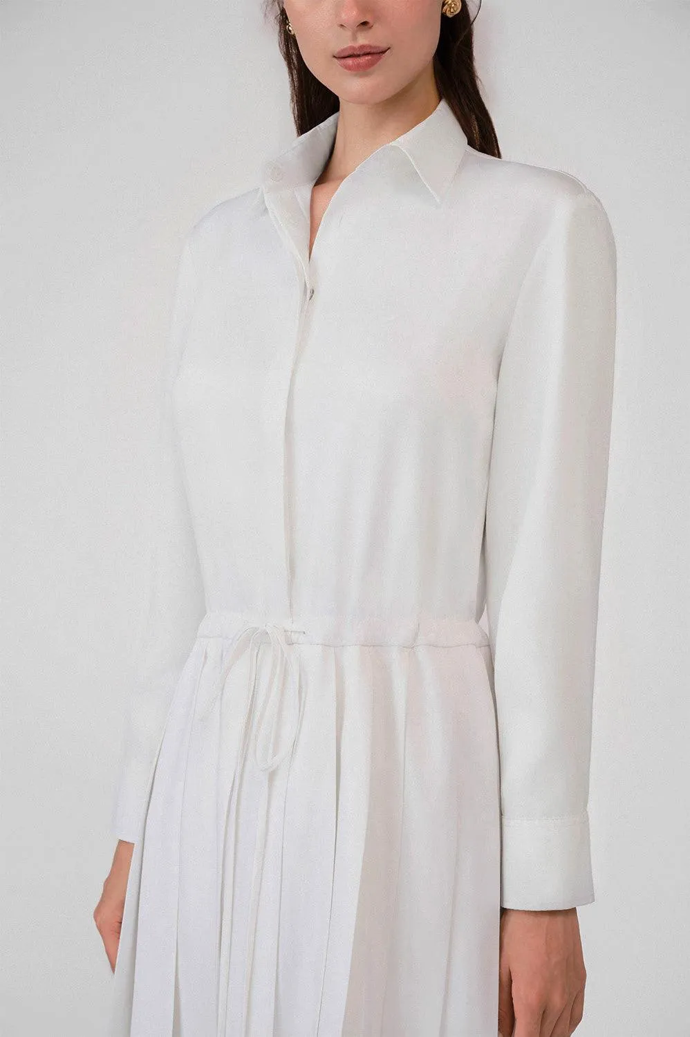 Anahi A-line Shirt Collar Woven Cotton Mini Dress