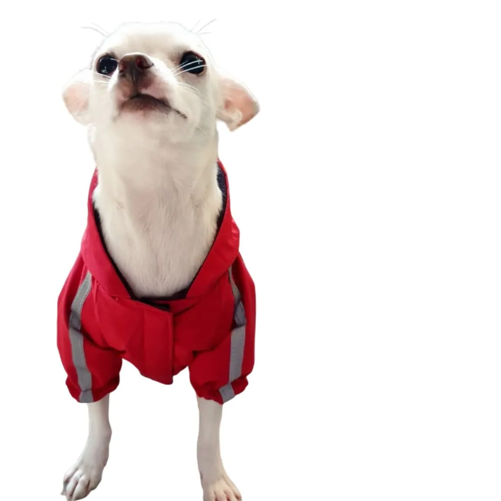 Dog Face Windbreaker Jacket for Dogs