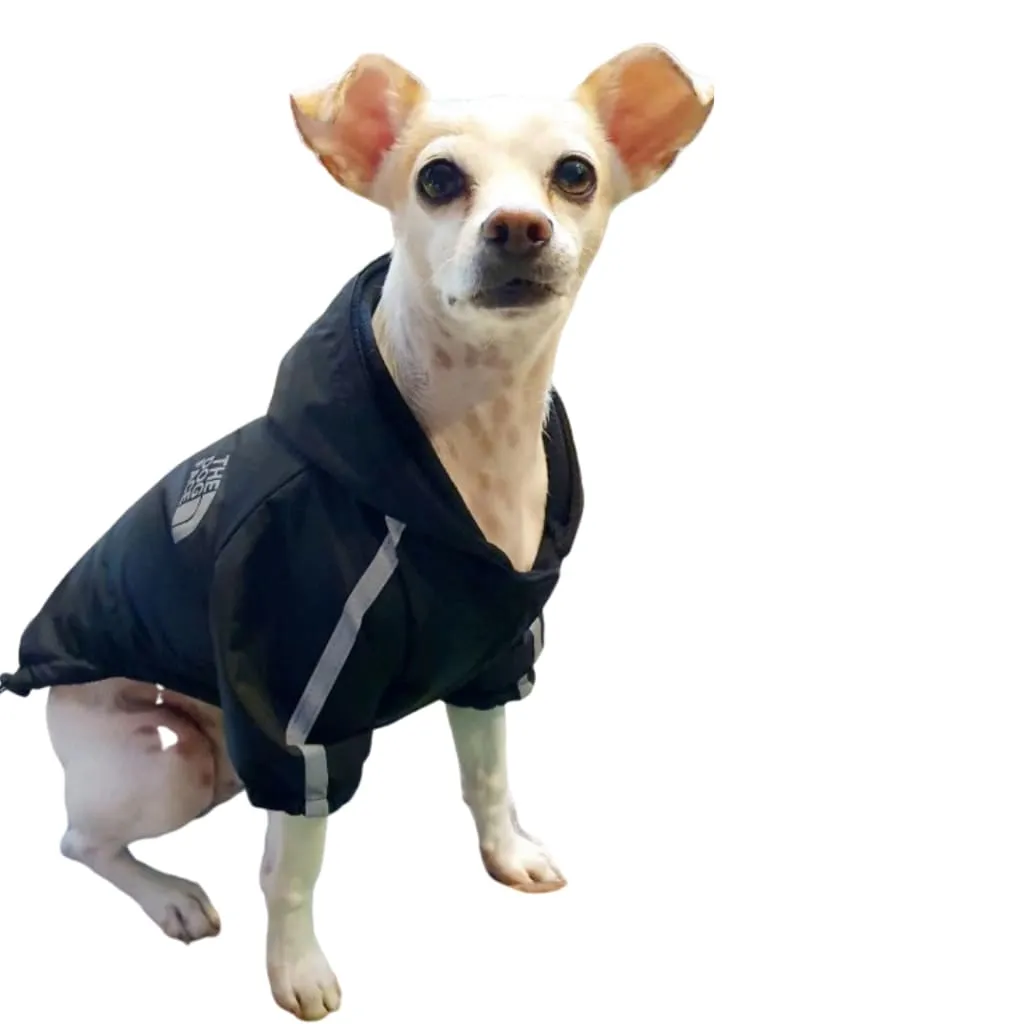 Dog Face Windbreaker Jacket for Dogs