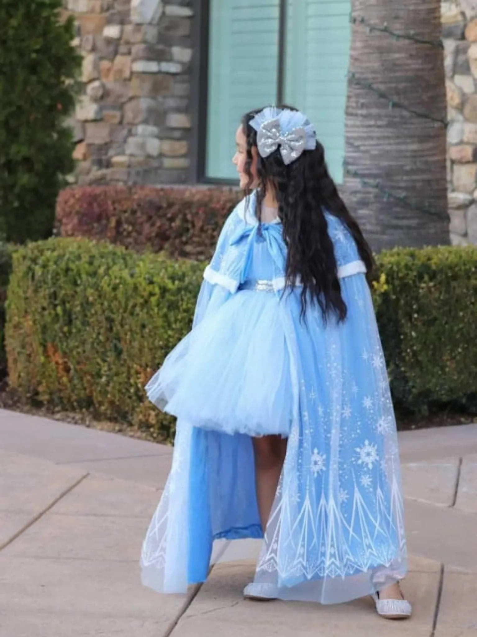 Elsa Velvet Ice Cloak