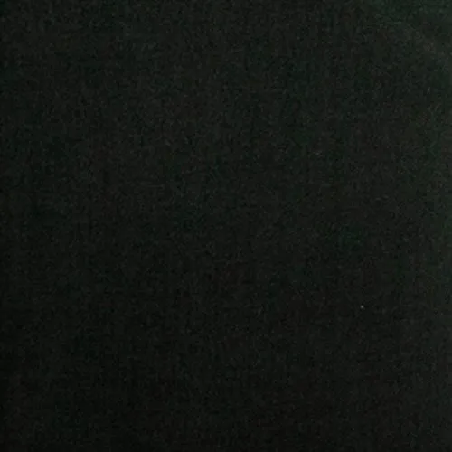 Leo Chevalier 100% Micro Polyester Easy Care Dress Shirt