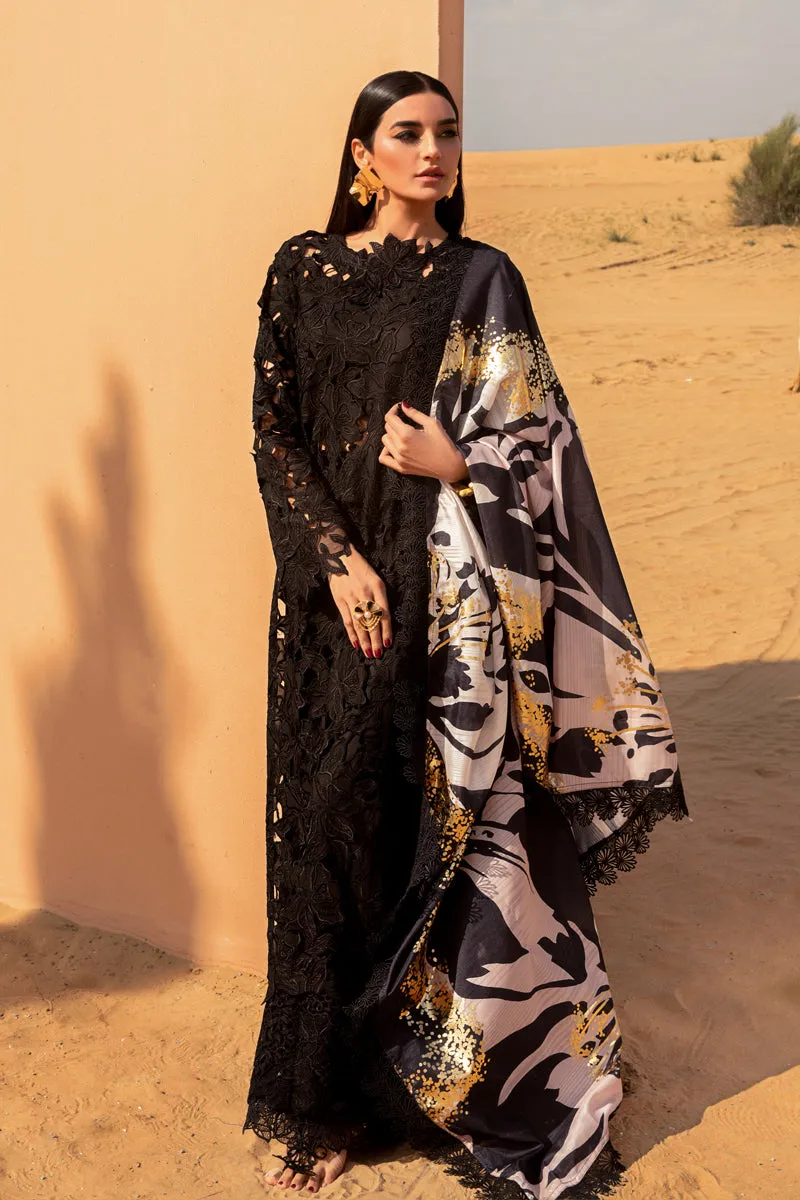 Rang Rasiya Premium Lawn Collection 2024 – Alaya