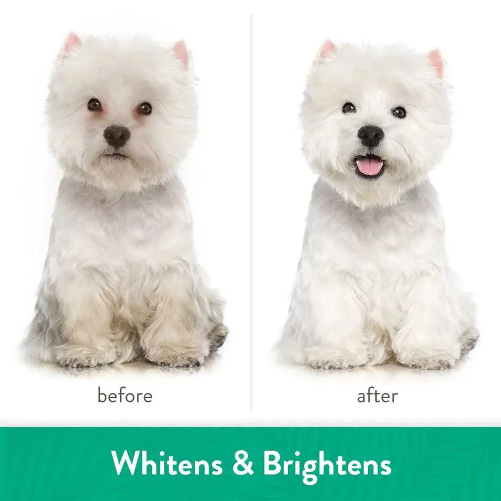Whitening Awapuhi & Coconut Shampoo 20oz