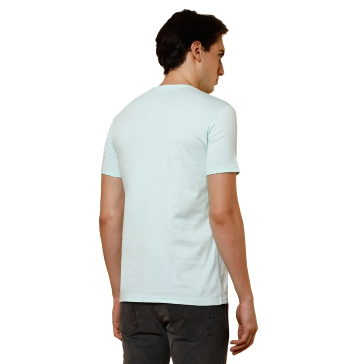 Wrangler Men's Regular Fit T-Shirt (WMTS005614_ICY Morn