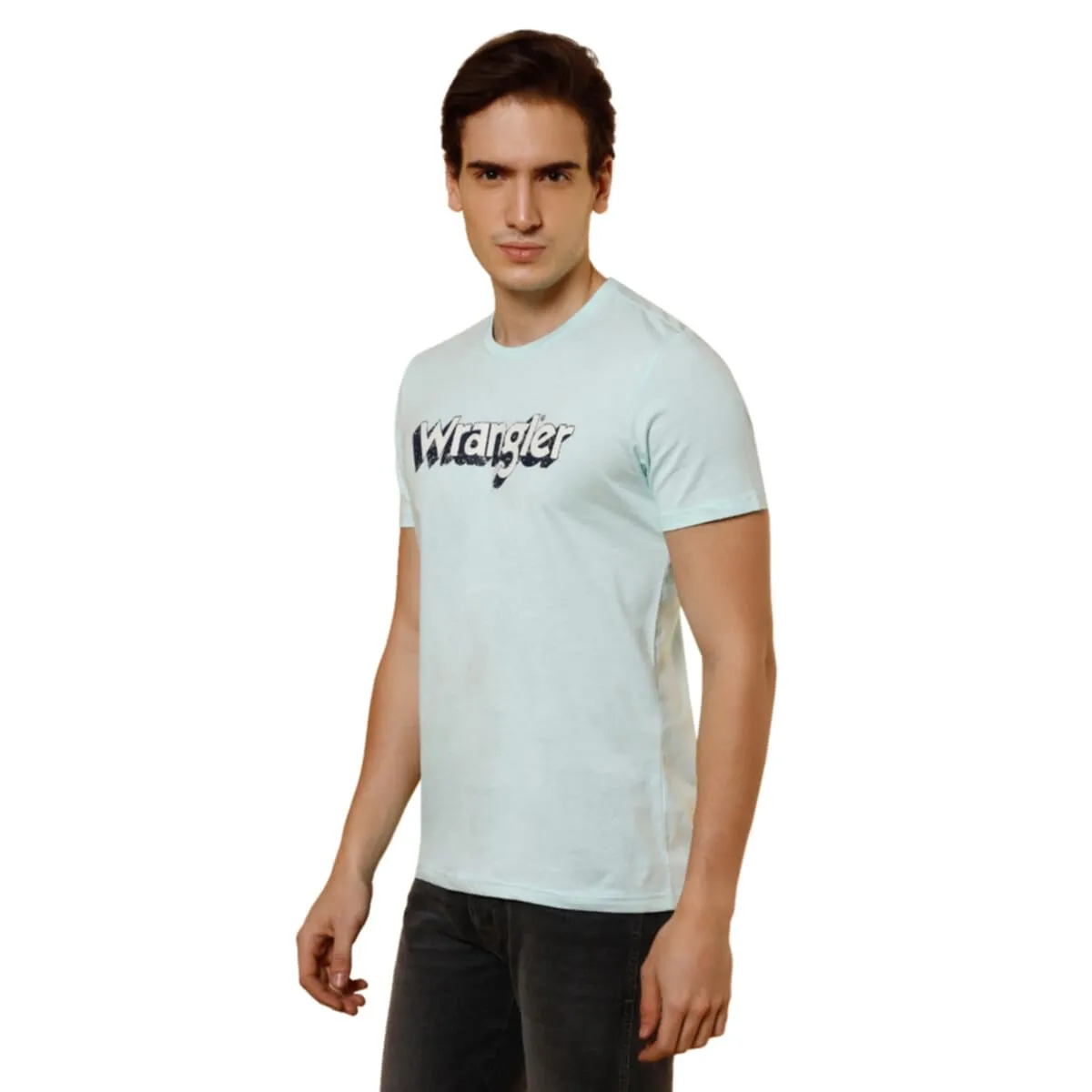 Wrangler Men's Regular Fit T-Shirt (WMTS005614_ICY Morn