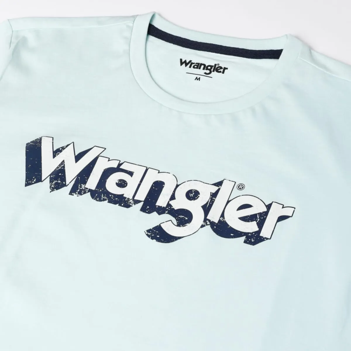 Wrangler Men's Regular Fit T-Shirt (WMTS005614_ICY Morn